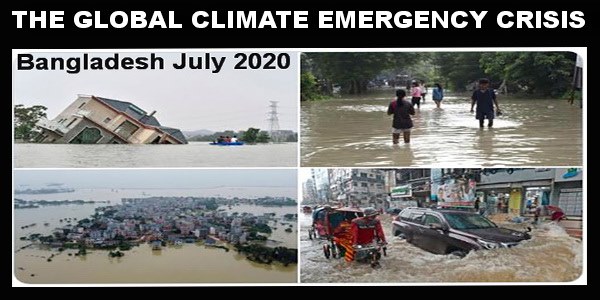 THE GLOBAL CLIMATE EMERGENCY CRISIS